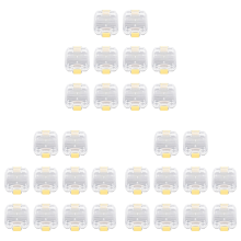 10Pcs Plastic Denture Tooth Box