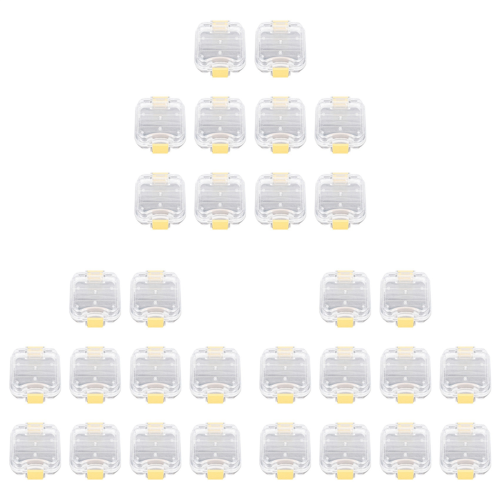 10Pcs Plastic Denture Tooth Box