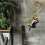 Alto Saxophone Stand Saxophone Wall Mount Holder 5