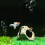 3X Cave Aquarium Decoration Breeding Shelter Rock Stone 5