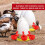 12PCS Chicken Watering Cup Automatic Filling Waterer Poultry Drinking 7
