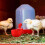 12PCS Chicken Watering Cup Automatic Filling Waterer Poultry Drinking 5