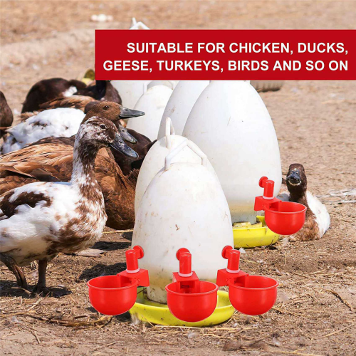18PCS Chicken Watering Cup Automatic Filling Waterer Poultry Drinking 1