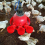 36PCS Chicken Watering Cup Automatic Filling Waterer Poultry Drinking 5
