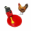 10Pcs Automatic Chicken Quail Drinker Chicken Waterer Bowl 2