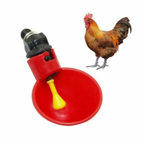 10Pcs Automatic Chicken Quail Drinker Chicken Waterer Bowl 1