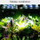 Reptiles Fogger Mist Sprinkler Rainforest Tank 360 Adjustable,A 4
