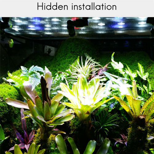 Reptiles Fogger Mist Sprinkler Rainforest Tank 360 Adjustable,A 2