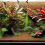 Coconut Fiber Mat, for Lizard Snake Turtle Gecko 2