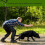 2X Dog Whistle, Professional Dog Training Whistle to Stop Barking 7