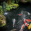 20 Pond Protectors Floating Guard Against & Plastic Net 6