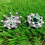 16 Pcs Golf Spikes Replacement ,Golf Shoe Spikes,Golf Cleats 5