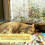 3D Window Film Reflective Decorative Privacy Static Glass Sticker 3