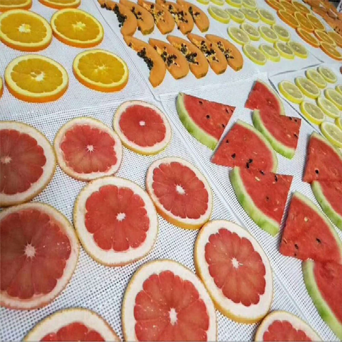 Dehydrator Sheet for Food Dehydrator,10 Pcs 29X37cm 1