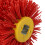 2X Red Abrasive Wire Drum Brushes Deburring Polishing Buffing Wheel 5