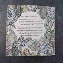 Children Adult Animal Kingdom Coloring Painting Book