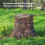 15Pcs Copper Nails for Killing Trees Stump Root, 3.14 Inch 5