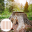 20 Pcs Copper Nails for Killing Trees, Stumps & - 3.5 Inch Long 5