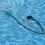 Professional Large Capacity Leaf Canister with Mesh Basket Pool A 7