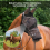 Horse Fly Mask, Super Comfort Fly Masks for Horses, Adjustable 2