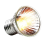 10PCS Reptile Lamp Bulb Turtle Basking UV Light Bulbs 50W 6