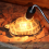 10PCS Reptile Lamp Bulb Turtle Basking UV Light Bulbs 50W 2