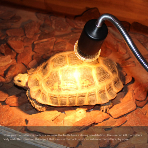 10PCS Reptile Lamp Bulb Turtle Basking UV Light Bulbs 50W 1