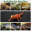 Reptile Mat for Leopard Gecko 18x36 Inch Black 6