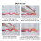 Ballet Dancer Rubber Sleeve Ballet Foot Stretcher 3