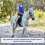 2 Pcs Cooling Vest With 48 Pcs Ice Pack Adjustable Ice Vest 3