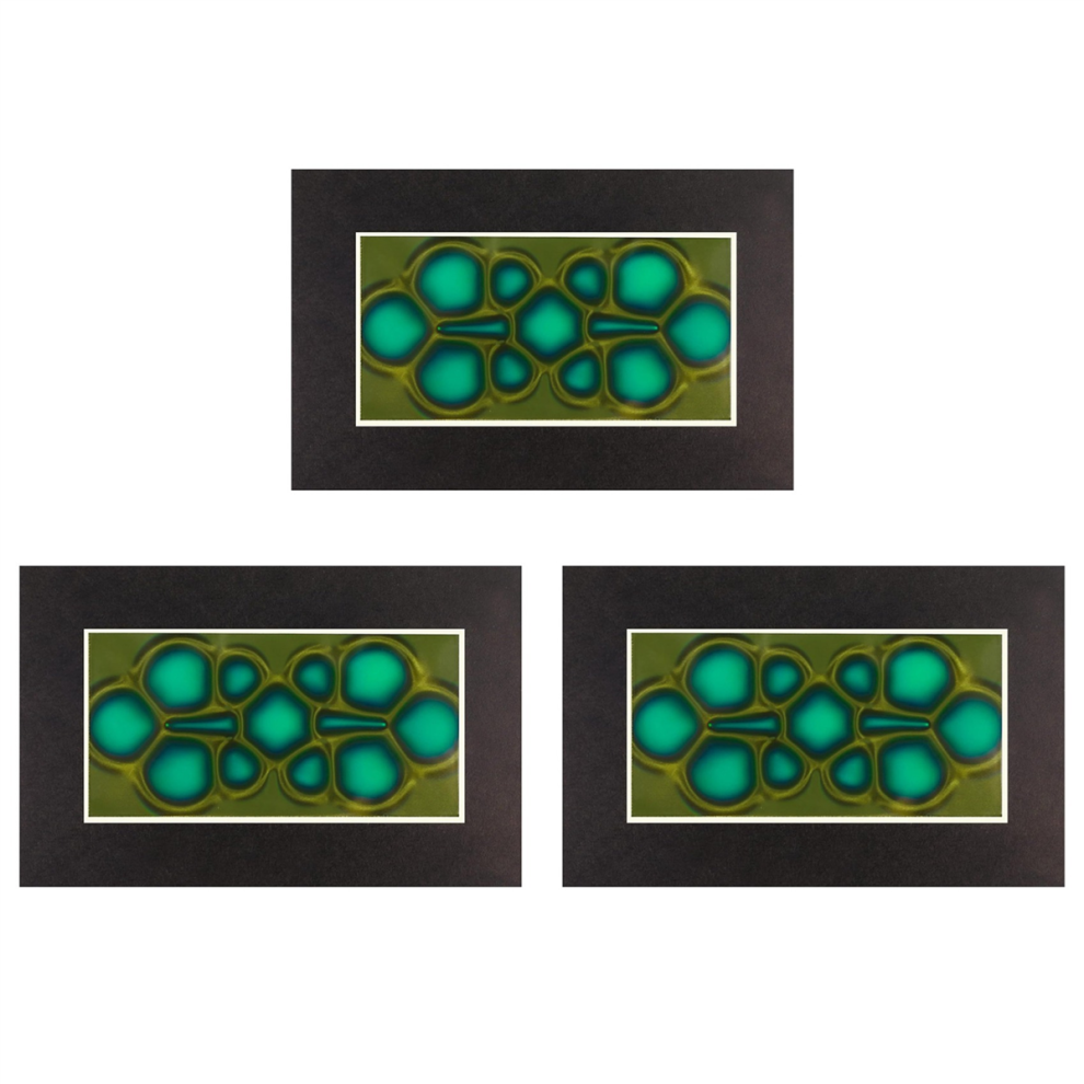 Magnetic Viewing Film, 2Inchx 4Inch Magnetic Field Viewer 4711191709097
