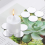 Mini Size Acrylic Round Mirror (100PCS, 1 Inch) 3