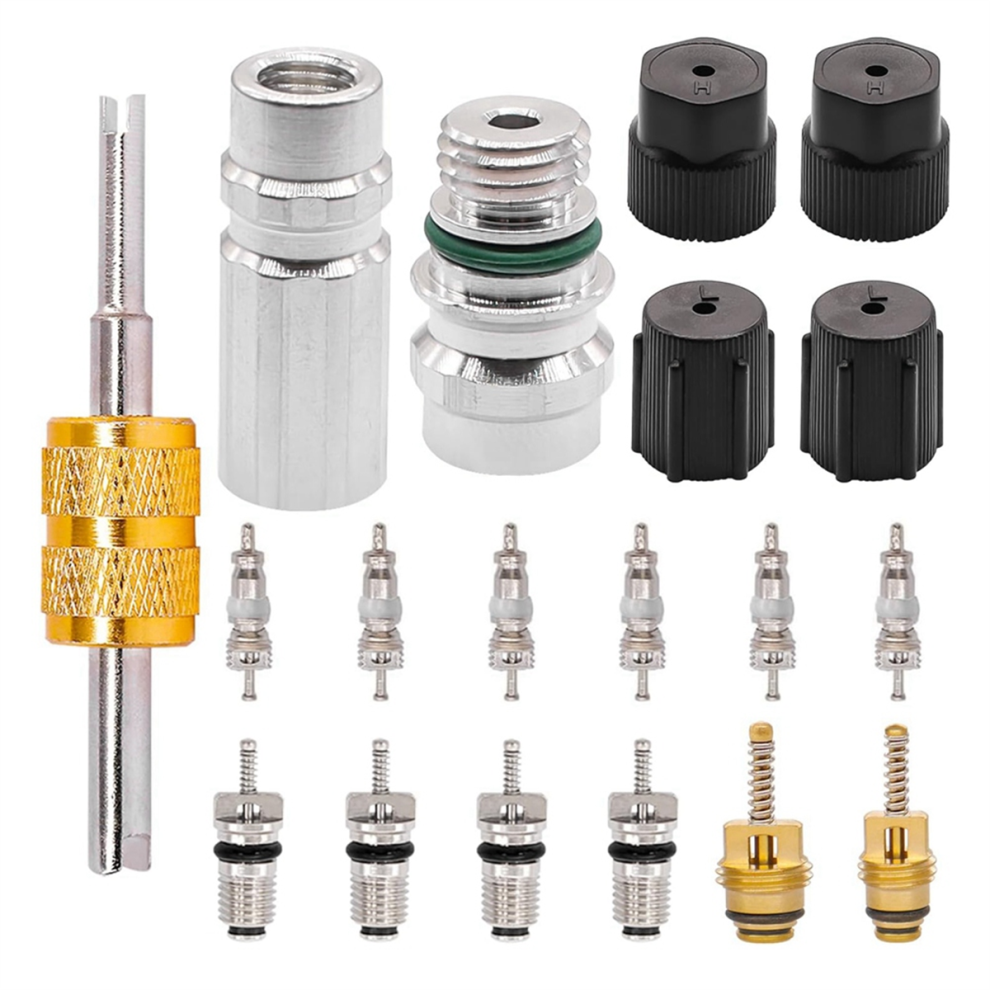 19Pcs Car Ac R12 R134a Refrigeration Valve Stem Cores Service 4713376375592