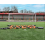 Precision GK Ball Deflector Reactor Football Grid for Grass 1