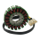 Motorcycle Stator Coil Generator for 125 RC125 90139004000 2