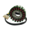 Motorcycle Stator Coil Generator for 125 RC125 90139004000 5