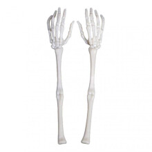 (White) 2pcs Great Skeleton Arm Stakes Plastic Arm Groundbreakers