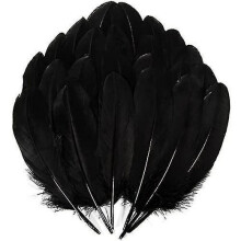 200pcs Goose Nagoire Feathers