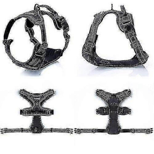 (L) Rabbitgoo Dog Harness, No-pull Pet Harness With 2 Leash Clips, Adjustable Soft Padded Dog Vest 1