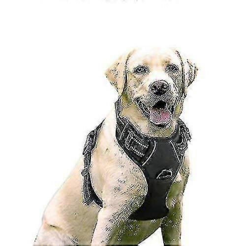 (L) Rabbitgoo Dog Harness, No-pull Pet Harness With 2 Leash Clips, Adjustable Soft Padded Dog Vest