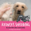 BugaLugs Bugalugs Deshedding Brush for Dogs, Cats, Horses 5