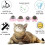 3 Pack Catmint Catnip Balls, Rotatable Cat Edible Balls, Cat Teeth Cleaning Interactive Toy 4