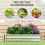 Outsunny Outsunny Raised Garden Bed Elevated Planter Box for Flowers Silver 6