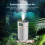 Large Capacity Office Cool Mist Humidifier for Efficient Humidification 5