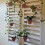 Suporte de Plantas de 4 Polegadas para Parede, 6 Pack Ganchos de Metal para Vasos 5