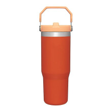(Orange) Stainless Steel Tumbler with Straw, Vacuum Insulated Water Bottle, Reusable Cup