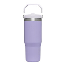 (Purple) Stainless Steel Tumbler with Straw, Vacuum Insulated Water Bottle, Reusable Cup