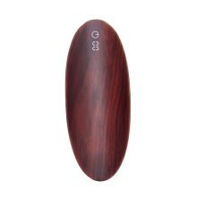 500G 0.1G Pocket Mini Weegschaal Sieraden Thee Weeginstrument Draagbare Digitale Oplaadbare Elektronische B