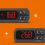 Temperatuurregelaar -1000HX Aquatic Crawling Pet Box Incubator Computerschakelaar 220V 4