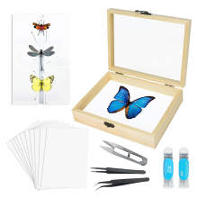 Gereedschapsset voor het maken van insectenspecimens, collectiedisplay voor hobbyisten en biologieprojecten van insecten
